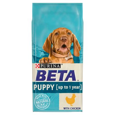 BETA Puppy – Kuře